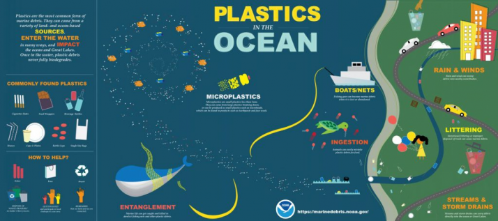 Plastics in the ocean
